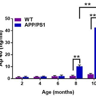 The Expression Of Mir P Decreased In App Ps Mice During Ad