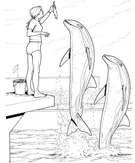 Dolphin Coloring Pages