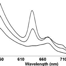 Example Of Curve Fitting Analysis Of Af Emission In The Nm