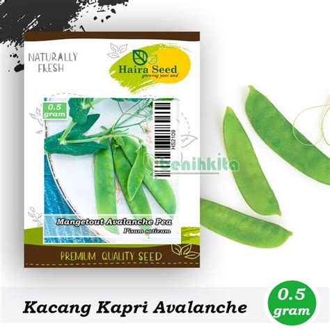 Jual Benih Bibit Kacang Kapri Polong Sugar Snap 2 Haira Seed Benihkita