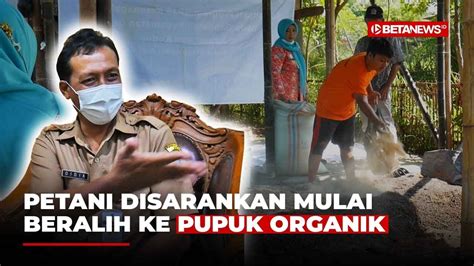 Dispertan Kudus Sarankan Petani Gunakan Pupuk Organik YouTube