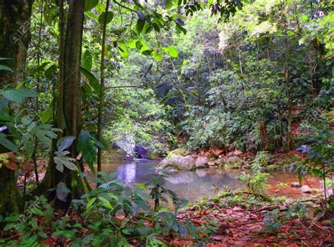 Print Crossword Puzzle Regiones Naturales De Colombia Geograf A