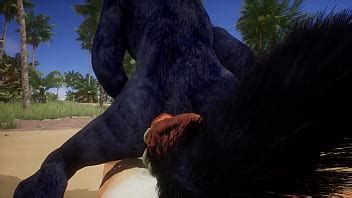 POV Tigre Folla Lobo Vida Salvaje XVIDEOS