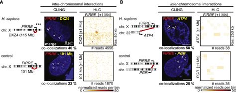 Inter Chromosomal Contact Properties In Live Cell Imaging And In Hi C