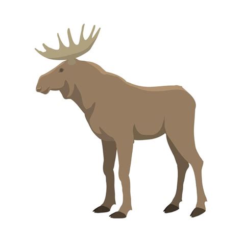 Premium Vector Elk Vector Illustration