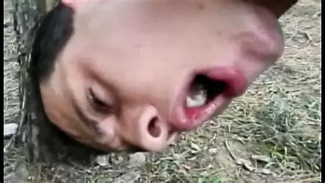 Katia Porn Videos Shemale Xxx Xhamster