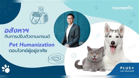 อสังหาฯ กับเทรนด์ Pet Humanization ตอบโจทย์ผู้อยู่อาศัย