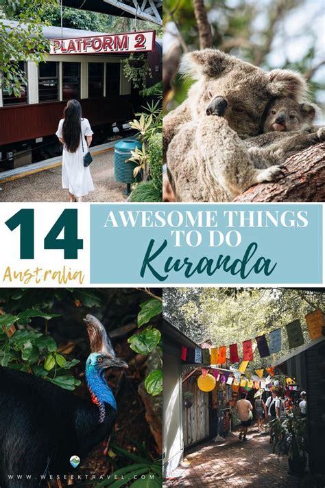 14 Awesome Things To Do In Kuranda Australia Artofit