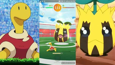 Shuckle Vs Sunkern 1v1 Raid Pokemon Go Youtube