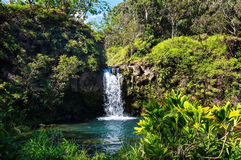 Waterfall on Hawaii | Stock image | Colourbox