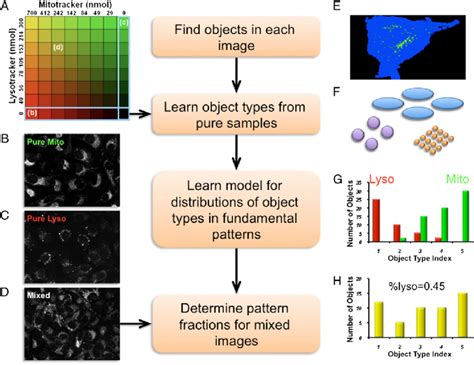 Subcellular Pattern Unmixing Approach A The Starting Point Is A