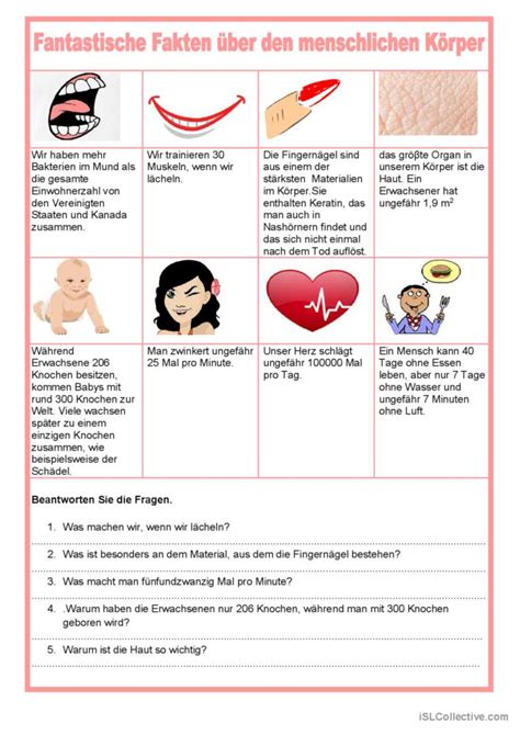 Fakten Ber Den Menschlichen K Rper Deutsch Daf Arbeitsbl Tter Pdf Doc