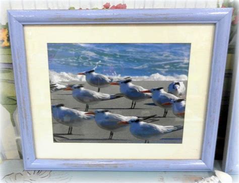 Set Of 2 Framed Flock Of Seagulls Beach Photographs Seaside Cottage