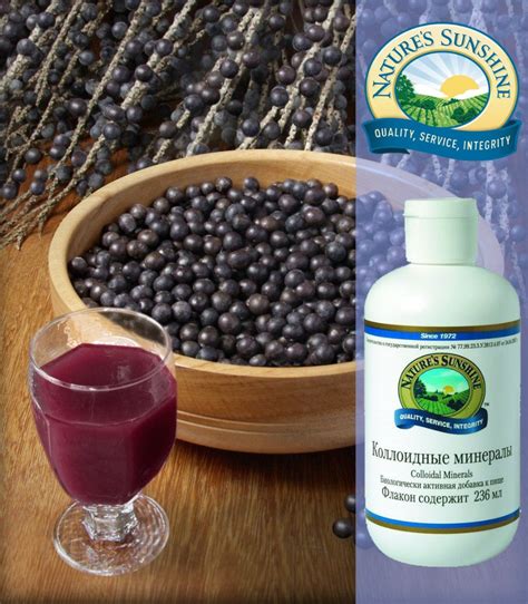 Colloidal Minerals NSP. Коллоидные минералы НСП | Оригинальная ...