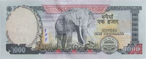 1000 Dollars In Rupees, Rupee Closes At 14-Month Low Against Dollar