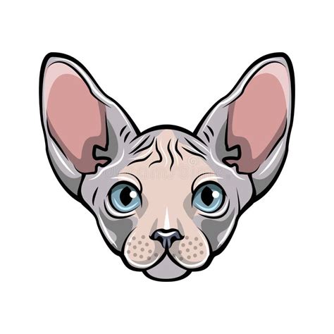 Colorful Illustration Of A Cat S Face White Sphynx Hairless Cat Stock