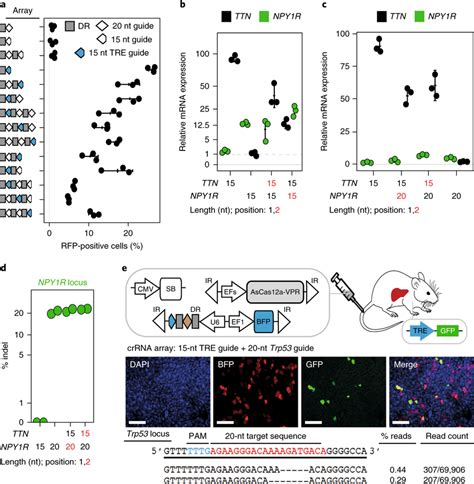 Multiplexed Transcriptional Activation And Orthogonal Gene Control By