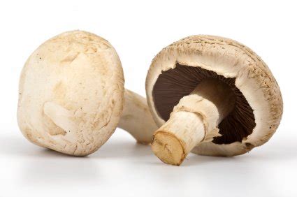 White Button Mushrooms can Lead Your Body to Better Health – NutritionGang.com