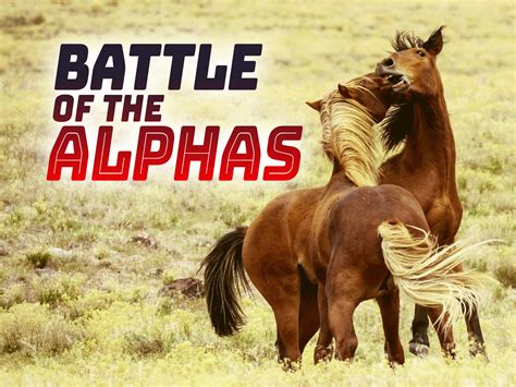 Prime Video Battle Of The Alphas Season 1