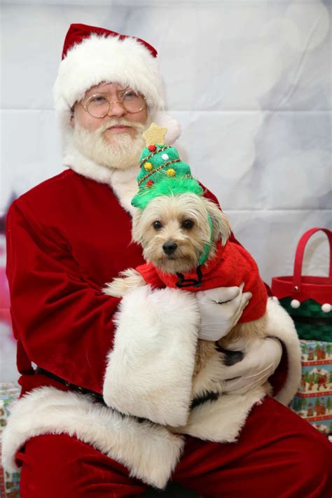 Pet Photos With Santa Near Me 2024 - Erinn Jacklyn