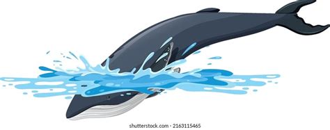 5,182 Humpback Whale Cartoon Images, Stock Photos & Vectors | Shutterstock