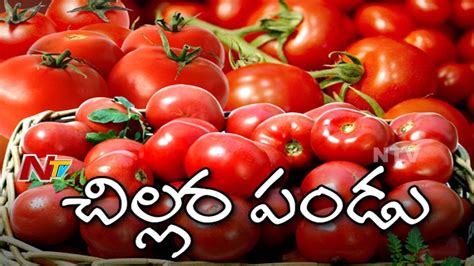 Tomato Price Reaches 50 Paise Per KG In Pathikonda Market Kurnool