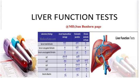 Solution Liver Function Tests Nursing Notes Studypool