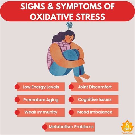 What Is Oxidative Stress How Does It Affect The Mind And Body