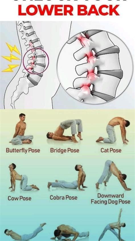 Lower back pain hip pain sciatica – Artofit