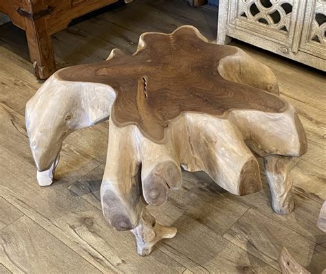 Teak Root Coffee Table Terra Nova Designs