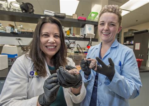 SIU Researchers Find Naked Mole Rat Bite Force Varies With Social Status In Surprising Way