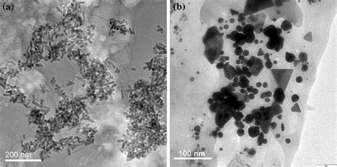 Morphologies Of Aunps Synthesized By A Pb²⁺ Induced Cells And B