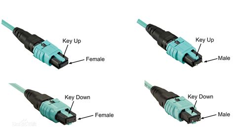 Mpo Fiber Optic Patch Cords Development Trend And Classification Application News Focc Fiber