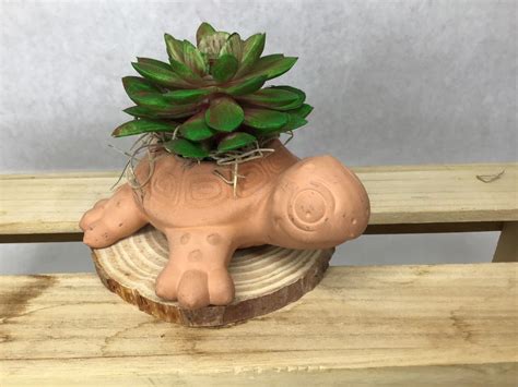 Terra Cotta Turtle Planter With Faux Succlent Plant Etsy