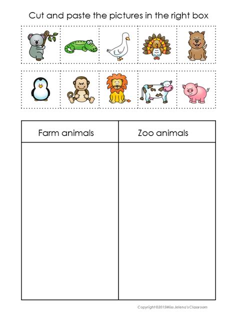 Animal Sorting Activity