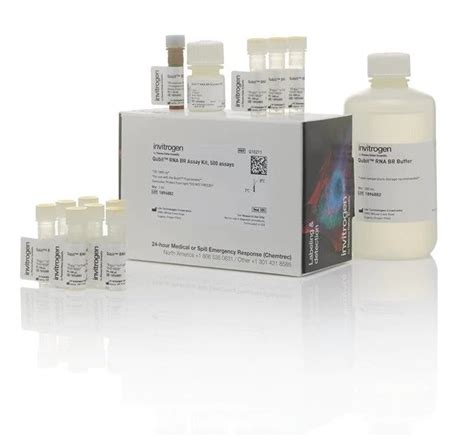 Invitrogen Quant It Dna Rna Quantitation Kit At Best Price In Mumbai