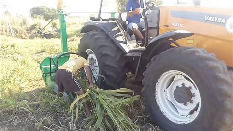 Ensiladeira Jf Z Para Silagem De Capim Sorgo Cana E Outros Youtube