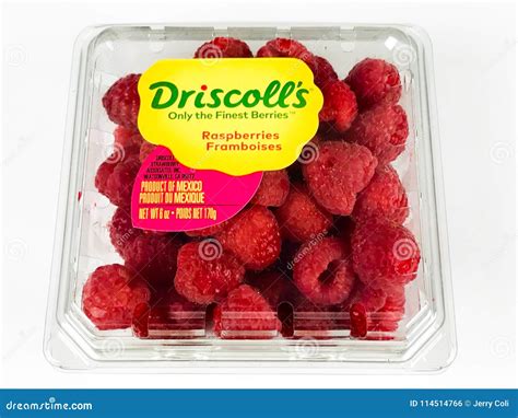 Container of Driscoll`s Raspberries Editorial Photo - Image of fresh ...