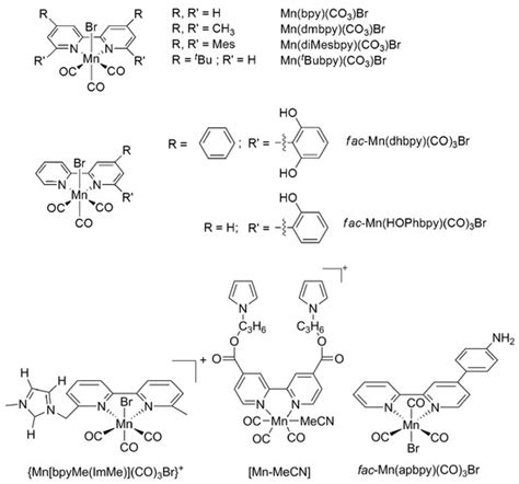 Catalysts Free Full Text Molecular Catalysis For Utilizing Co In