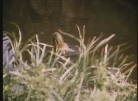 Prisoners of the Lost Universe | RiffTrax