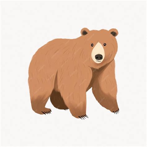 Cute Brown Bear Illustration Premium Ai Generated Vector