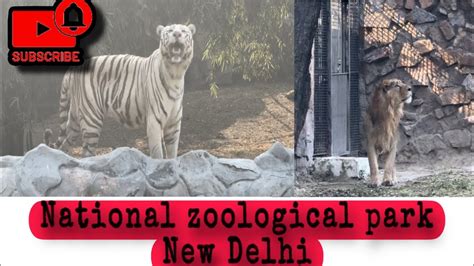 National Zoological Park Delhi Chidiya Ghar 🐅 🦁 Bachpan Ke Din Yaad