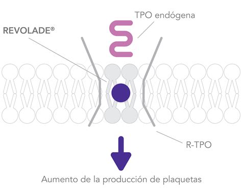 Mecanismo de acción Médicamente la web de Novartis para