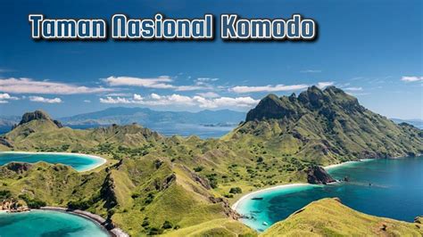 Destinasi Keindahan Wisata Pulau Komodo Dan Kanawa Di Taman Nasional