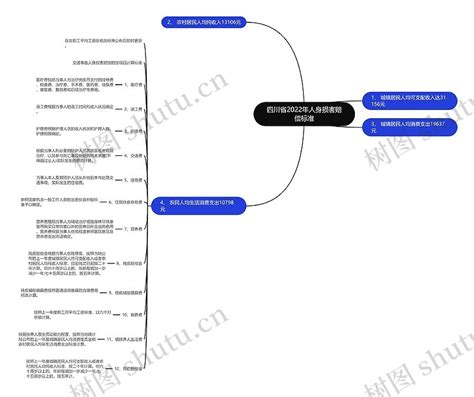 四川省2022年人身损害赔偿标准思维导图编号p6364365 Treemind树图