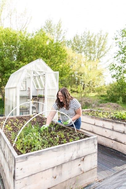 Four Fresh Container Gardening Plans