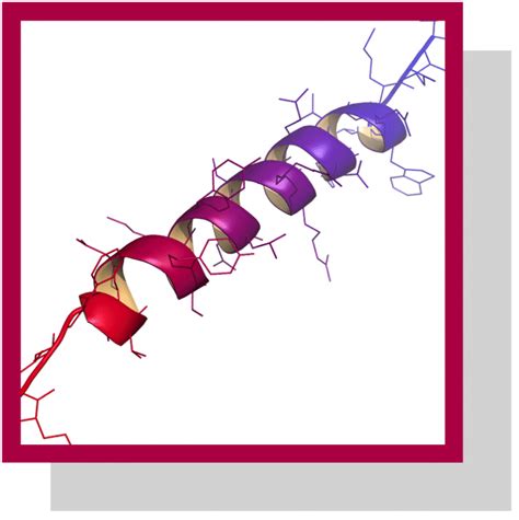 Glucagon Caractéristiques et rôles biologiques Nutrixeal Info