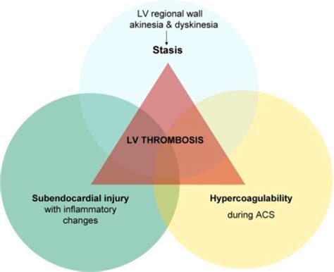 The Three Components Of The Virchows Triad In Left Ven Open I