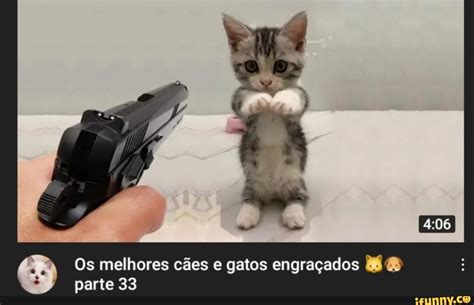 Os Melhores C Es E Gatos Engra Ados Parte Ifunny Brazil