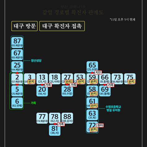 11일 부산 코로나19 확진자 관계도 이탈리아 다녀온 20대 남성 확진 부산 첫 사례 부산일보